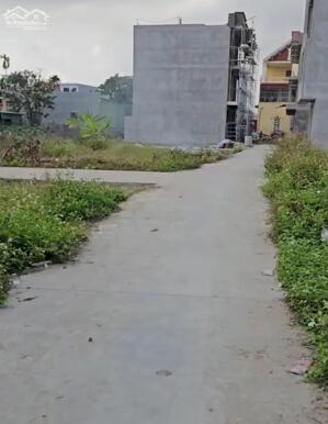 Bán đất 50m2 sau chợ Đặng Cương An Dương Hải Phòng