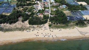 bán đất nam hội an - xã thăng trường - đà nẵng cách biển 100m