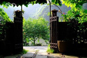 bán đất khu hà sen cát bà | không gian xanh, phong thuỷ thịnh