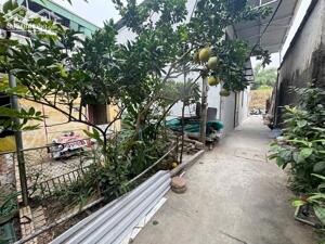 Cần bán 50m2 đất thổ cư, đường rộng 2,3m, cách 20m ra đường gom đê Vàng - Phúc Lợi