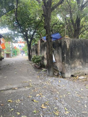 hạ giá bán nhanh đất đường quách điêu, vĩnh lộc. dt: 30m x 40m