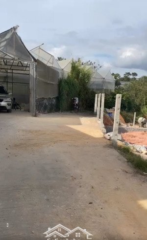 kẹt bank ra gấp lô đất nn 500m2 gần trung tâm đà lạt (6km)