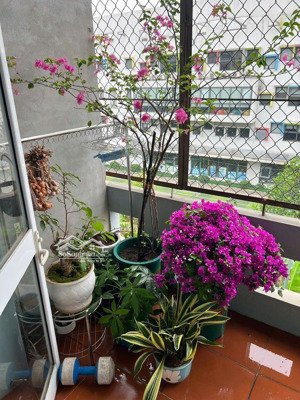 bán nhà riêng tại phố vũ hữu, 9 tỷ, 31m2, chính chủ, giá tốt, otto