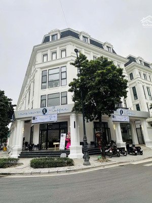 cần tiền bán gấp căn liền kề louis city hoàng mai, giá tốt nhất thị trường, kinh doanh đa ngành