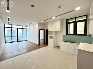 Cho thuê căn hộ chung cư BRG 16 Láng Hạ, Ba Đình 55m2 1pn 1wc đồ cơ bản 15tr/1 tháng