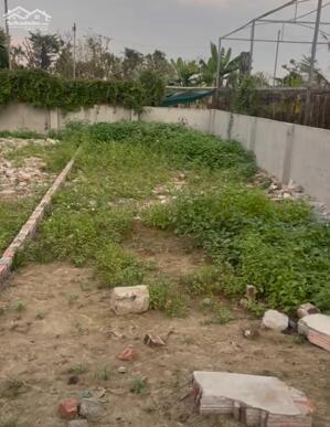 Bán đất 66m2 Minh Kha An Dương Hải Phòng