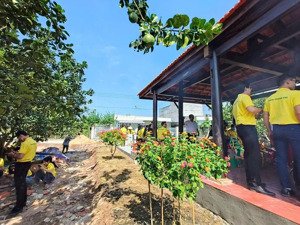 chủ ngộp cần bán gấp đất vườn 2000m2 được tặng vườn bưởi đang thu hoạch, có thu nhập hàng tháng