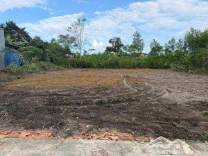 bán 2 lô nhà vườn tổng 483m2 đất ở, 2 mặt kiệt oto, gồm 2 sổ hồng liền kề nhau.