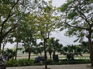 bán gấp nhà riêng phố trịnh công sơn nhật chiêu tây hồ 43m 5 tầng nhỉnh 15 tỷ oto 10m sát phố