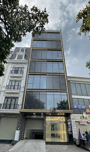 siêu phẩm tòa nhà mặt tiền điện biên phủ đakao q1 dt 12m x 20.5m hầm 6 tầng hđt 260tr/th giá 165 tỷ