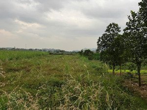 lô đất trồng cây 2 mặt tiền đường siêu thoáng-gần núi-villa nghỉ dưỡng-cách trục chính vân hòa 500m