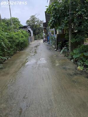 Chính chủ cần bán 2 lô liền kề 120m2 và 100m2 đường Lê Quý Đôn bê tông 4m