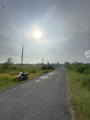 bán đất nền dự án tại xã tân điền, gò công đông, tiền giang, 1,4 tỷ, 498 m2