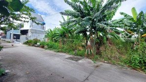 ngộp bán gấp lô đất giá rẻ quy đức bình chánh