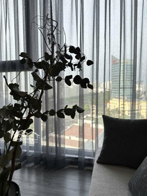 chuyên lavida- hàng hiếm tại lavida plus, nguyễn văn linh, quận 7, 3 tỷ, 37m2- bđs mex 