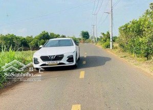 *** 1.350m2 (ont). đất phủ hồng toàn bộ. sát kcn đá bạc, châu đức, bà rịa vũng tàu