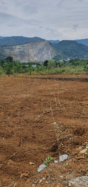 đất đẹp giá rẻ bám đường xe công chạy tại lương sơn hòa bình 626m đối diện dự án nghỉ dưỡng dầu khí