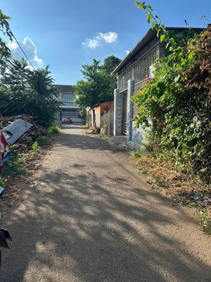 chỉ cần 500tr sở hữu ngay lô đất sổ riêng 7x22m, ngay ql1a xuân lộc, đn, nh hỗ trợ