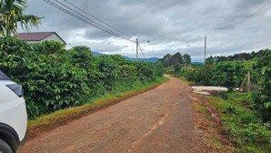 quá rẻ chỉ 599 triệu sở hữu ngay gần 300m2 đất mê linh sát p. cam ly đà lạt