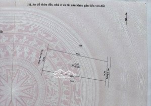 cần bán đất lúa 940,4m2 _ giá 700 triệu _ thuận mỹ, châu thành, long an