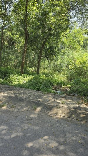 bán đất nông nghiệp xe hơi nguyễn bình diện tích 9000m2 giá 5tr/m2