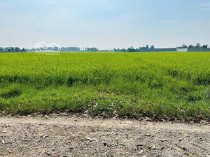 bán 500m2 đất thổ + vườn chỉ 1 sẹt tl9 vào 150m làm nhà vườn, kho xưởng, sổ hồng riêng