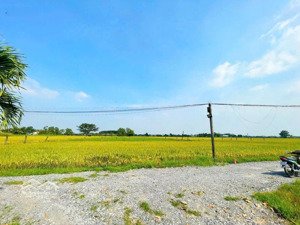 bán đất sau xã đức hoà thượng giá rẻ, dân đông, sổ hồng 550 triệu nền.