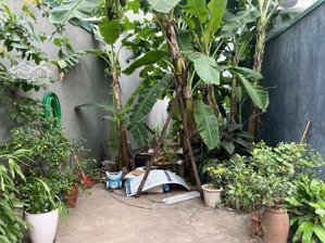 bán đất đại đồng đại mạch, đông anh, 44.8m², ô tô vào tận đất