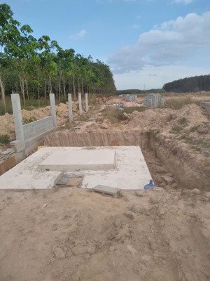 cần bán 2,7ha skc tại long nguyên. mặt tiền đh 619