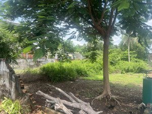 bán đất mt ql20 phú ngọc - định quán