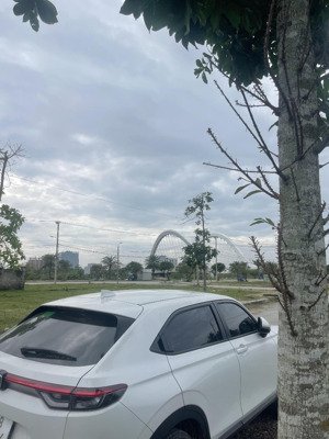 ngọc dương riverside : dt 99m2 ngang 5.5m sát sông cổ cò - giá tốt chính chủ cần bán gấp