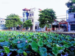bán đất đẹp trục chính đại áng kinh doanh siêu đỉnh. view hồ