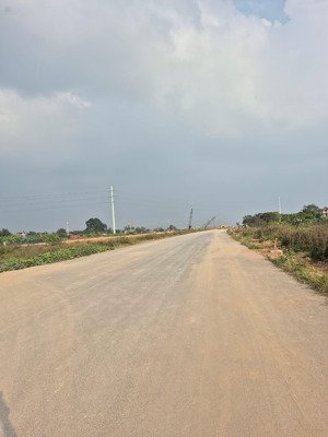 bán đất đấu giá khánh hà gần vành đai 4. lô góc, đường 10m vỉa vè rộng.