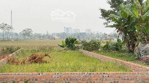 bán đất 86m2 tại đồng bụt, ngọc liệp, quốc oai, giá thỏa thuận