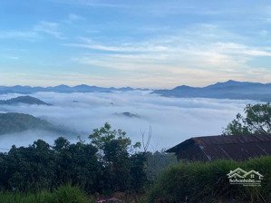 1486m2 đất nn, tại phường xuân trường- đà lạt, view săn mây như hình, đất bằng phẳng, gần ql