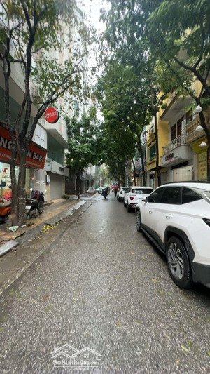 chủ cần bán trong tết phân lô vỉa hè mai động tam trinh 118 m ,mt 7 m giá 30 tỷ