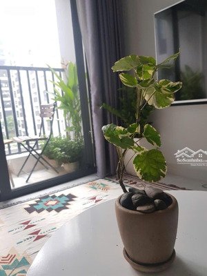 cho thuê căn hộ chung cư tại lovera vista, 8,5 triệu, 65 m2, chính chủ đẹp, nhiều tiện ích