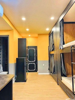 tòa nhà dịch vụ - 7 tầng 109m2 - lý thường kiệt, phường 8, gần quận 10, dòng tiền tốt