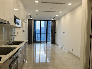 cho thuê căn hộ 1pn, 20 triệu nội thất cơ bản , view bitexco tại vinhomes golden river ba son q1