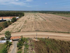 10m mặt tiền đường dh715 xã dầu tiếng - tp. hcm bám kdl sinh thái, cụm cn giá cực tốt để đầu tư