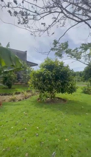 bán nhà vườn 4307m2 thổ cư 80m2 có sẵn nhà đẹp xã hồ tràm thành phố hồ chí minh