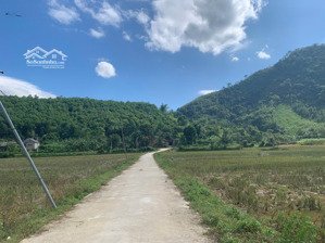 diện tích 366m2 full thổ cư, mặt tiền 14m sâu 24m, tại bình sơn, kim bôi, hòa bình.