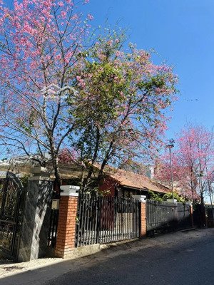 bán khu homestay gia đình rộng 1.100m2 - trung tâm tp đà lạt