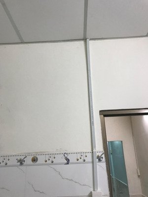 cho thuê nhà nguyên căn mặt tiền đường nội bộ chợ hoàng hoa thám