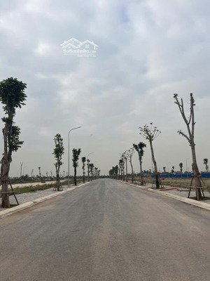 siêu phẩm lô góc tđc vin dương kinh, hải phòng 95,6m