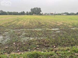 Bán đất Bến Lức giá đầu tư – Diện tích đẹp, pháp lý rõ ràng