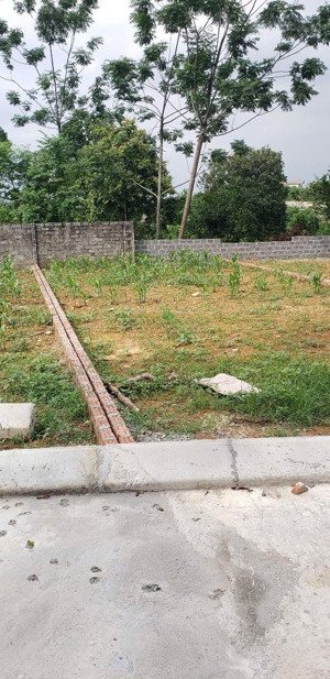 đất đẹp đông yên hàng hiếm, giá rẻ nhất khu vực! sở hữu ngay lô đất 118124m full thổ