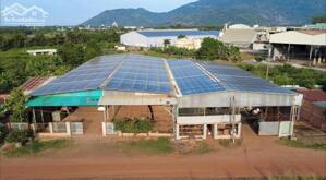 BÁN KHO XƯỞNG 1600 M2 TP. TÂY NINH + ĐIỆN MẶT TRỜI FIT 2 (THU NHẬP 80 TRIỆU/THÁNG) GIÁ 6,5 TỶ.