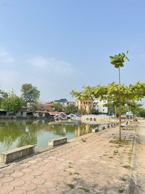 chính chủ bán 53.3m2 đấu giá lại yên mt 5.7m hướng đông nam đường 7m