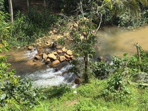 bán vườn ngay thôn 10 xã lộc nam huyện bảo lâm